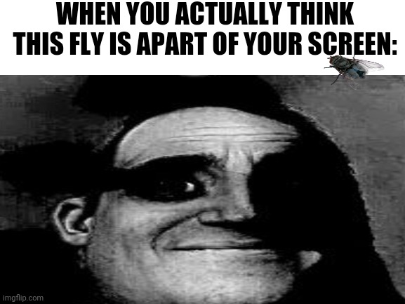 Everybody, you better not freak out. | WHEN YOU ACTUALLY THINK THIS FLY IS APART OF YOUR SCREEN: | image tagged in memes,funny,people who don't know vs people who know,mr incredible becoming uncanny,flies,fly | made w/ Imgflip meme maker