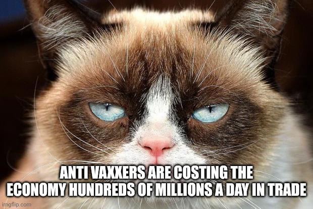 Grumpy Cat Not Amused Meme | ANTI VAXXERS ARE COSTING THE ECONOMY HUNDREDS OF MILLIONS A DAY IN TRADE | image tagged in memes,grumpy cat not amused,grumpy cat | made w/ Imgflip meme maker