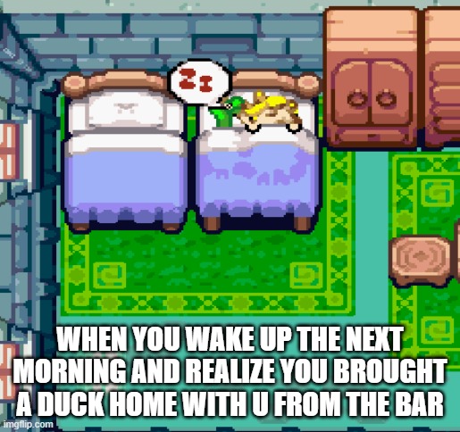 waking up to gentle quacking noises in ur ear | WHEN YOU WAKE UP THE NEXT MORNING AND REALIZE YOU BROUGHT A DUCK HOME WITH U FROM THE BAR | image tagged in gaming,zelda,fun,funny,comedy,video games | made w/ Imgflip meme maker