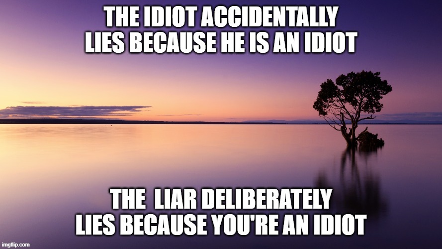 Liars and Idiots | image tagged in politics | made w/ Imgflip meme maker