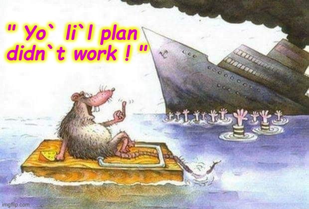 I`m a rat ! | " Yo` li`l plan
didn`t work ! " | image tagged in sinking ship | made w/ Imgflip meme maker