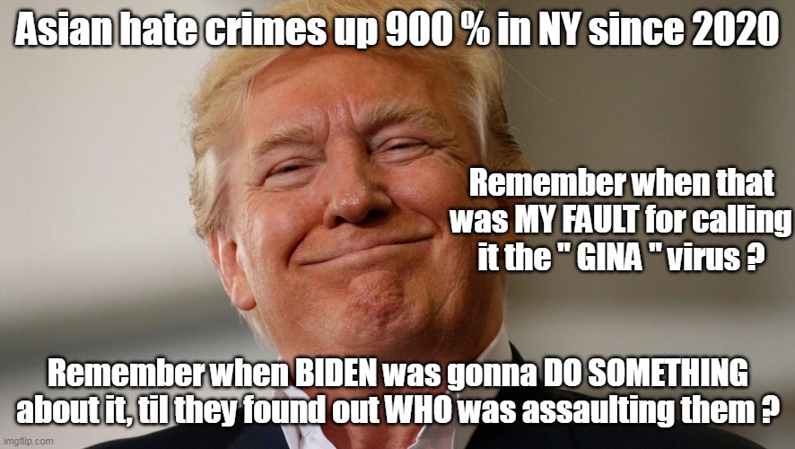 The Ostriches of the Hypocratic Party | Asian hate crimes up 900 % in NY since 2020; Remember when that was MY FAULT for calling it the " GINA " virus ? Remember when BIDEN was gonna DO SOMETHING about it, til they found out WHO was assaulting them ? | image tagged in memes | made w/ Imgflip meme maker