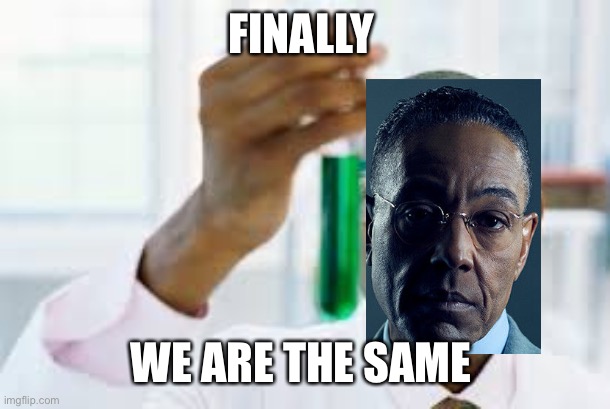 We are the same | FINALLY; WE ARE THE SAME | image tagged in finally,gus fring we are not the same,memes,funny,gifs | made w/ Imgflip meme maker