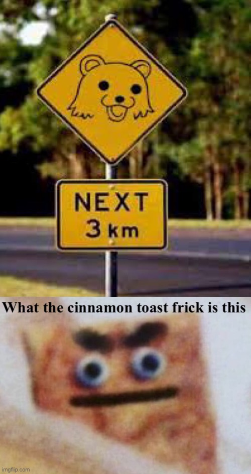 Since when were there cartoon bears on the road?! | image tagged in funny signs,memes,funny memes,cinnamon toast crunch,wth,why tho | made w/ Imgflip meme maker
