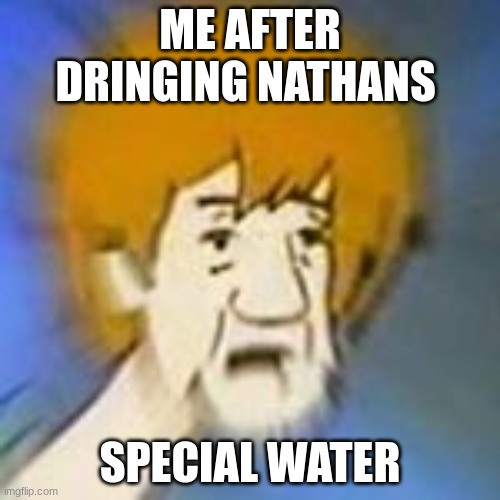 Whats going on scoob | ME AFTER DRINGING NATHANS; SPECIAL WATER | image tagged in shaggy dank meme | made w/ Imgflip meme maker