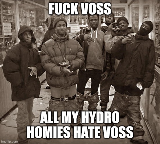 “Fuck X All My Homies Hate Y | FUCK VOSS; ALL MY HYDRO HOMIES HATE VOSS | image tagged in fuck x all my homies hate y | made w/ Imgflip meme maker