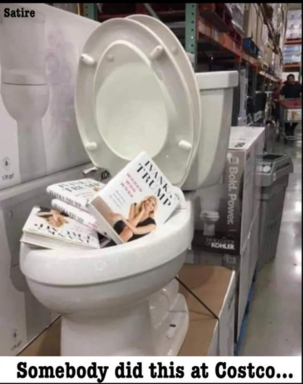 Ivanka books in toilet Blank Meme Template