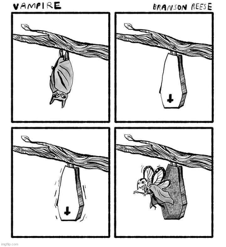 image tagged in comics/cartoons | made w/ Imgflip meme maker