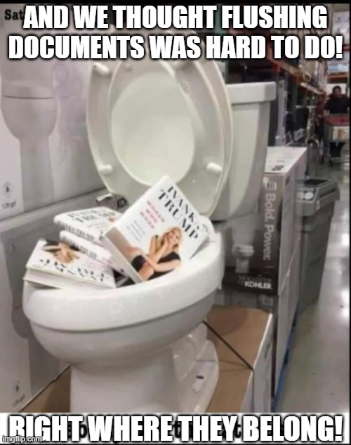 Ivanka books in toilet | AND WE THOUGHT FLUSHING DOCUMENTS WAS HARD TO DO! RIGHT WHERE THEY BELONG! | image tagged in ivanka books in toilet | made w/ Imgflip meme maker
