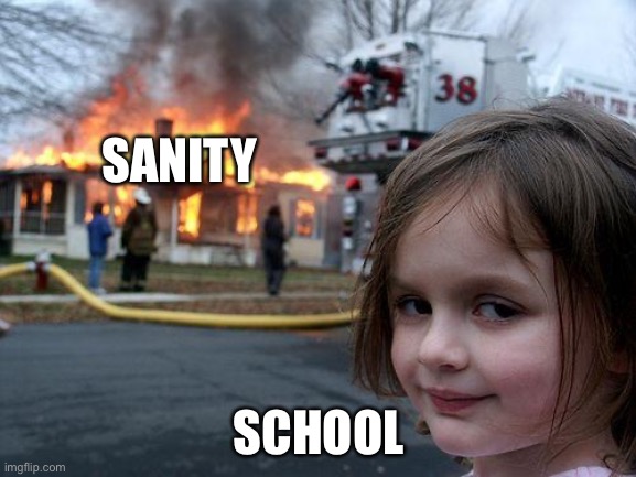 ‘V(, _ , )V’ | SANITY; SCHOOL | image tagged in memes,disaster girl | made w/ Imgflip meme maker