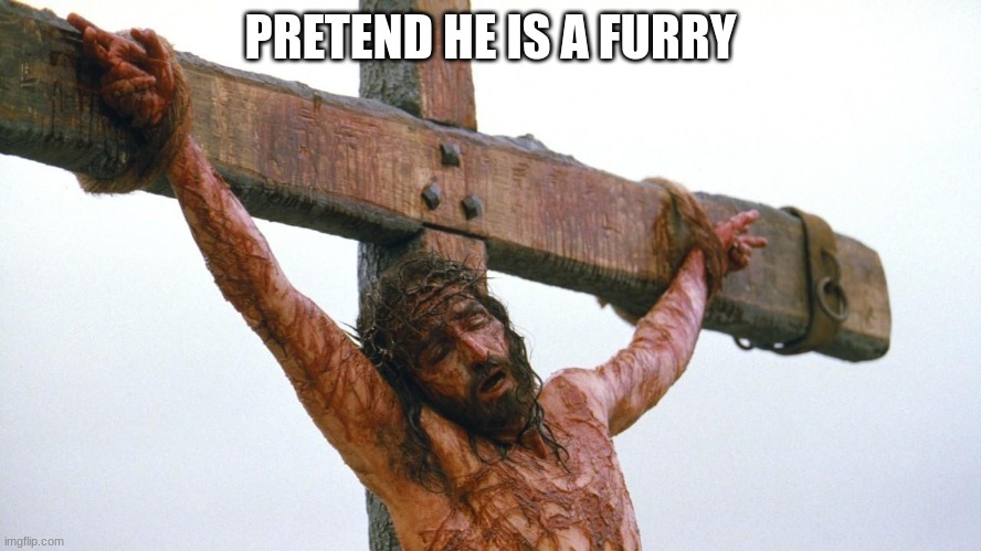 jesus crucified | PRETEND HE IS A FURRY | image tagged in jesus crucified | made w/ Imgflip meme maker