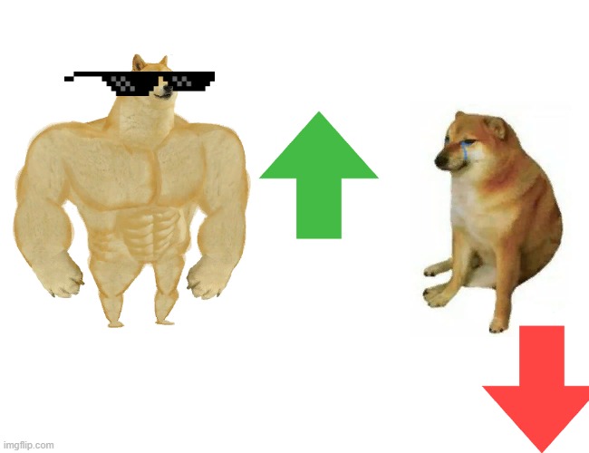 Buff Doge vs. Cheems | image tagged in memes,buff doge vs cheems | made w/ Imgflip meme maker