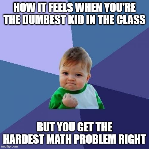 Haha |  HOW IT FEELS WHEN YOU'RE THE DUMBEST KID IN THE CLASS; BUT YOU GET THE HARDEST MATH PROBLEM RIGHT | image tagged in memes,success kid | made w/ Imgflip meme maker