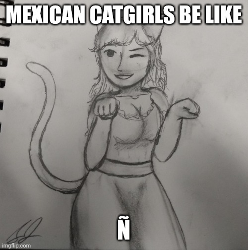Ñ  | MEXICAN CATGIRLS BE LIKE; Ñ | image tagged in catgirls | made w/ Imgflip meme maker