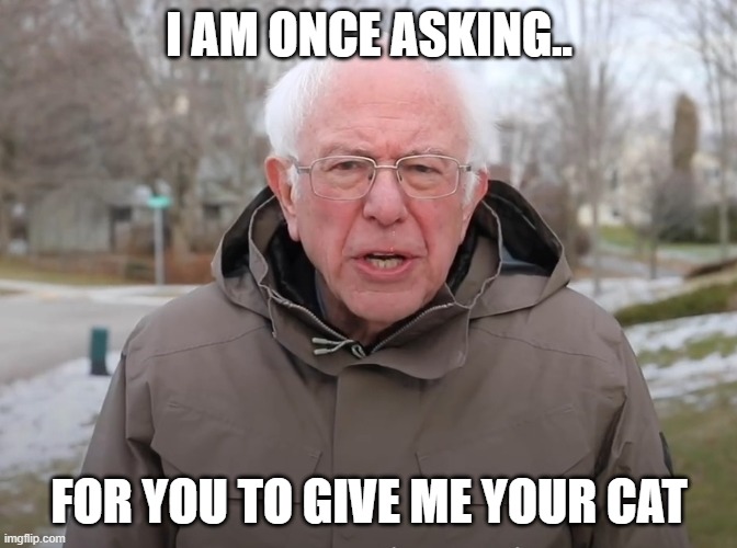 When your at your friends house: | I AM ONCE ASKING.. FOR YOU TO GIVE ME YOUR CAT | image tagged in bernie sanders once again asking | made w/ Imgflip meme maker