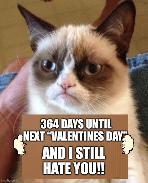 364 Days Until Next “Valentines Day” … And I Still Hate You!! | 364 DAYS UNTIL NEXT “VALENTINES DAY”; AND I STILL HATE YOU!! | image tagged in grumpy cat cardboard sign,love,haters gonna hate,meme | made w/ Imgflip meme maker