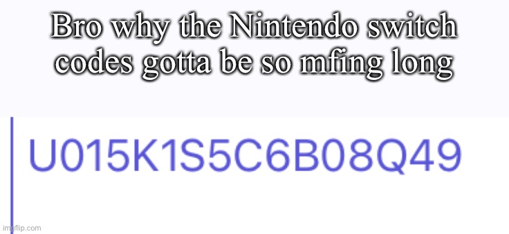 I already redeemed it so don’t go complaining that it don’t work in the comments (please complain in the comments as a joke) | Bro why the Nintendo switch codes gotta be so mfing long | made w/ Imgflip meme maker