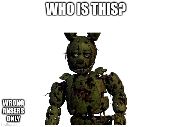 who is this? (wrong ansers only) | WHO IS THIS? WRONG ANSERS ONLY | image tagged in fnaf,quiz,lol,communaty | made w/ Imgflip meme maker