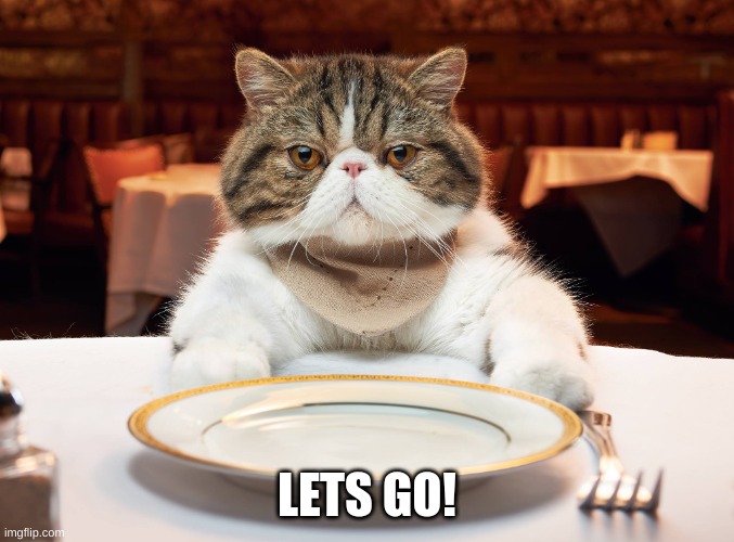 hungry cat | LETS GO! | image tagged in hungry cat | made w/ Imgflip meme maker