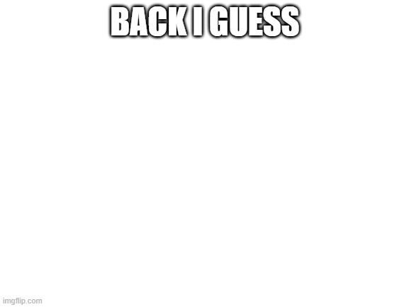 Blank White Template |  BACK I GUESS | image tagged in blank white template | made w/ Imgflip meme maker