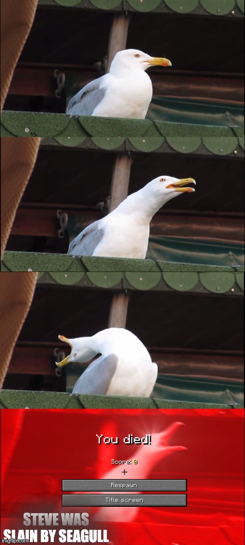 Inhaling Seagull Meme | STEVE WAS SLAIN BY SEAGULL | image tagged in memes,inhaling seagull | made w/ Imgflip meme maker