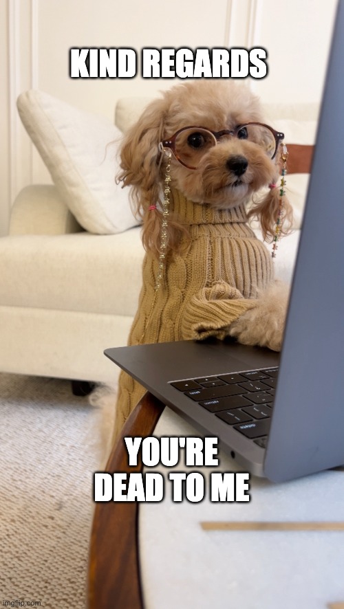 Kind Regards | KIND REGARDS; YOU'RE DEAD TO ME | image tagged in funny,dogs,office,emails | made w/ Imgflip meme maker