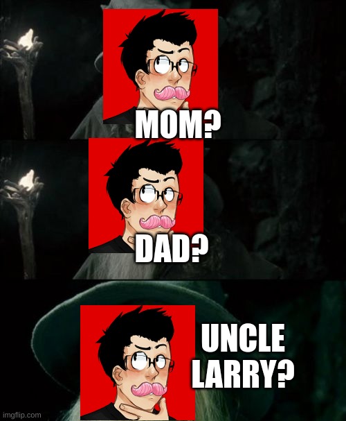 if you watch the video you'll know why | MOM? DAD? UNCLE LARRY? | image tagged in memes,confused gandalf,markiplier | made w/ Imgflip meme maker