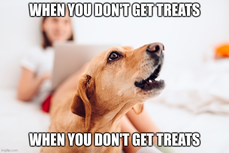 WHEN YOU DON'T GET TREATS; WHEN YOU DON'T GET TREATS | made w/ Imgflip meme maker