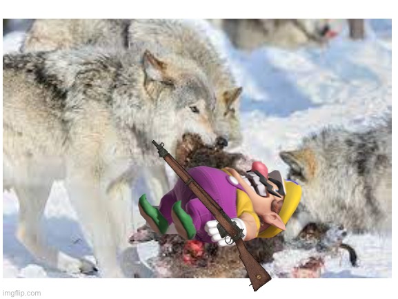 Wario dies to a pack of wolves after forgetting to take the beef jerky out of his pockets when entering the hunting reserve.mp3 | image tagged in wario dies,wolf | made w/ Imgflip meme maker