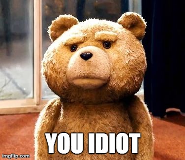 TED | YOU IDIOT | image tagged in memes,ted | made w/ Imgflip meme maker