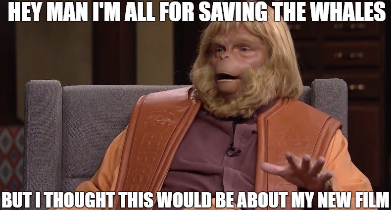 the interview! | HEY MAN I'M ALL FOR SAVING THE WHALES; BUT I THOUGHT THIS WOULD BE ABOUT MY NEW FILM | image tagged in dr zaius,planet of the apes | made w/ Imgflip meme maker