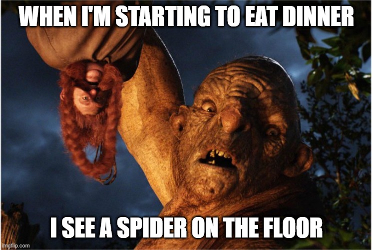 Hobbit Troll | WHEN I'M STARTING TO EAT DINNER; I SEE A SPIDER ON THE FLOOR | image tagged in hobbit troll | made w/ Imgflip meme maker