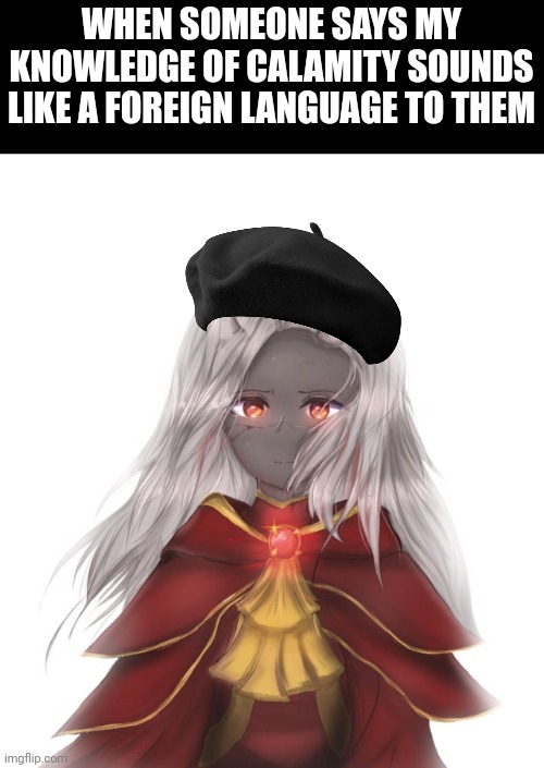 calamitas est mignon comme l'enfer | WHEN SOMEONE SAYS MY KNOWLEDGE OF CALAMITY SOUNDS LIKE A FOREIGN LANGUAGE TO THEM | image tagged in oui | made w/ Imgflip meme maker