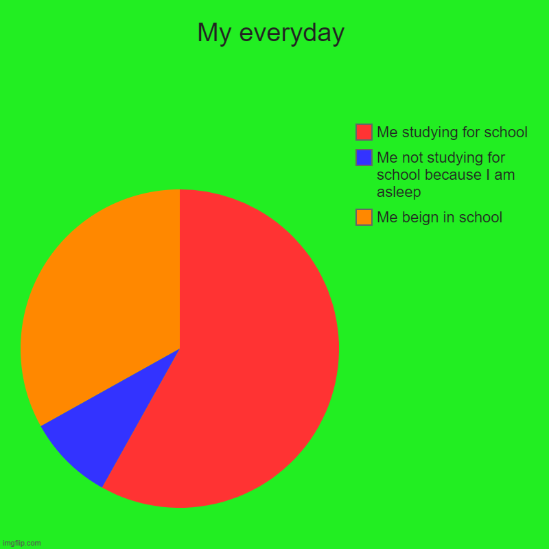 My everyday | Me beign in school, Me not studying for school because I am asleep, Me studying for school | image tagged in charts,pie charts | made w/ Imgflip chart maker