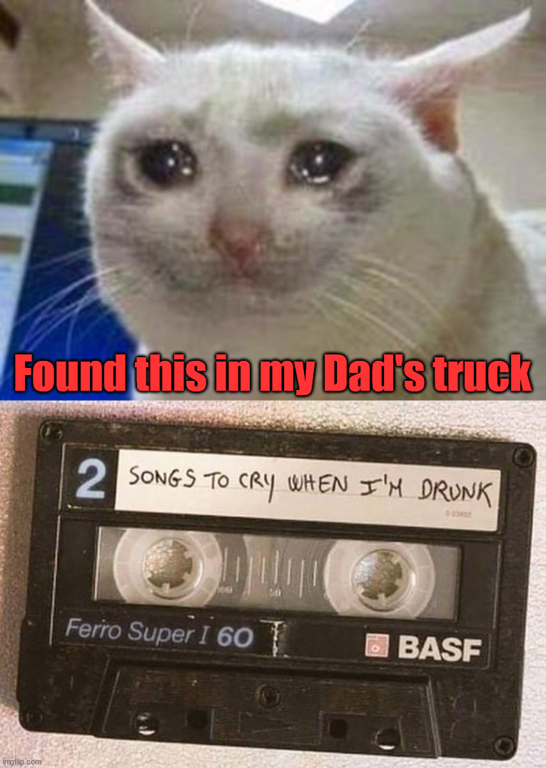 Cry to music | Found this in my Dad's truck | image tagged in sad cat | made w/ Imgflip meme maker