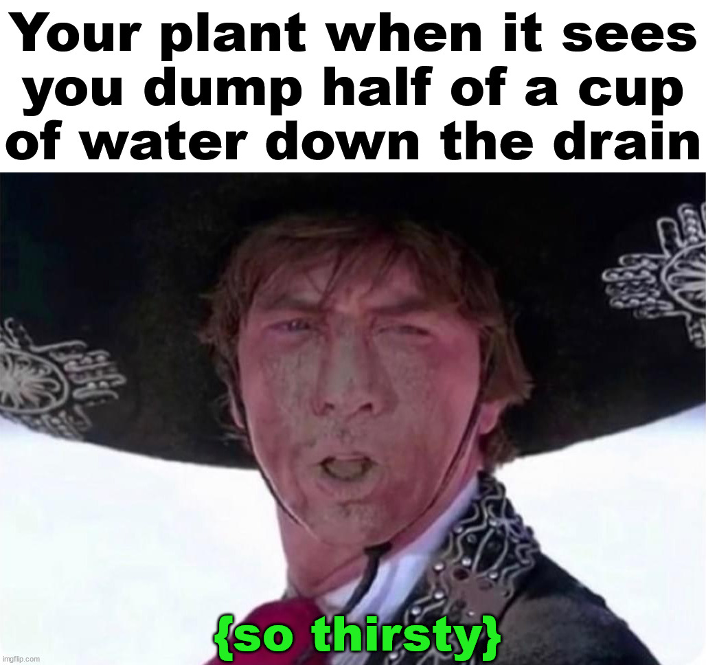 Just so thirsty |  Your plant when it sees
 you dump half of a cup 
of water down the drain; {so thirsty} | image tagged in plants,water,dry | made w/ Imgflip meme maker