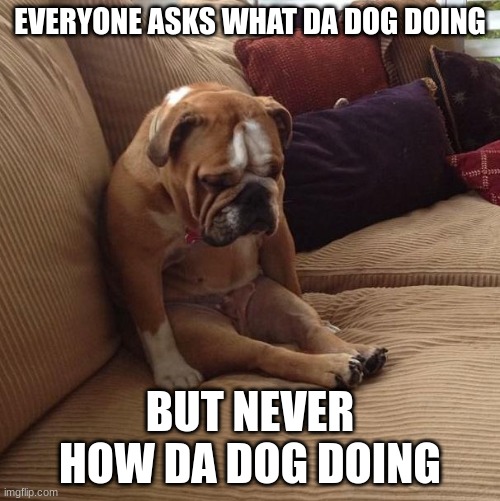 Bulldogsad | EVERYONE ASKS WHAT DA DOG DOING; BUT NEVER HOW DA DOG DOING | image tagged in bulldogsad | made w/ Imgflip meme maker