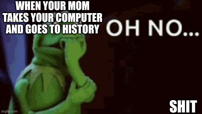 OH NO | WHEN YOUR MOM TAKES YOUR COMPUTER AND GOES TO HISTORY; SHIT | image tagged in oh no | made w/ Imgflip meme maker