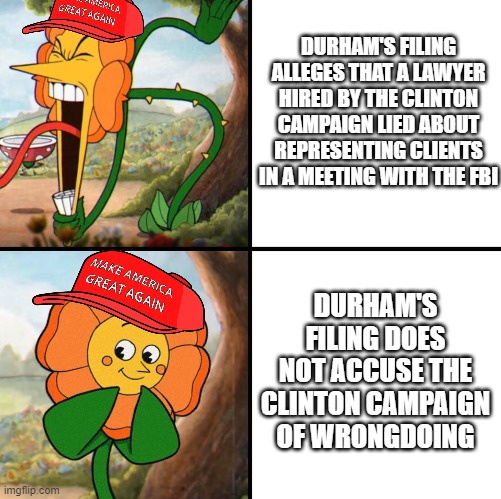 Durham's investigation began in 2019 and all they have is: | DURHAM'S FILING ALLEGES THAT A LAWYER HIRED BY THE CLINTON CAMPAIGN LIED ABOUT REPRESENTING CLIENTS IN A MEETING WITH THE FBI; DURHAM'S FILING DOES NOT ACCUSE THE CLINTON CAMPAIGN OF WRONGDOING | made w/ Imgflip meme maker