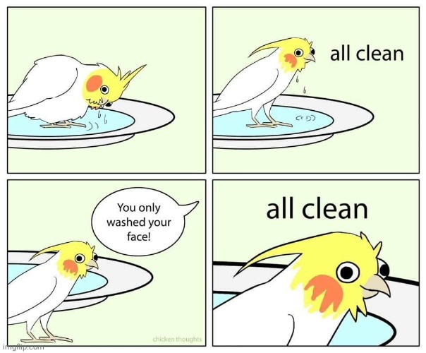 Clean bird face | image tagged in birds,bird,clean,comics/cartoons,comics,comic | made w/ Imgflip meme maker
