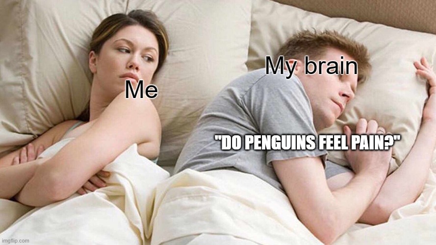 why brain | My brain; Me; "DO PENGUINS FEEL PAIN?" | image tagged in memes,i bet he's thinking about other women | made w/ Imgflip meme maker