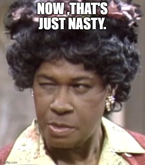 Aunt Esther | NOW ,THAT'S JUST NASTY. | image tagged in aunt esther | made w/ Imgflip meme maker