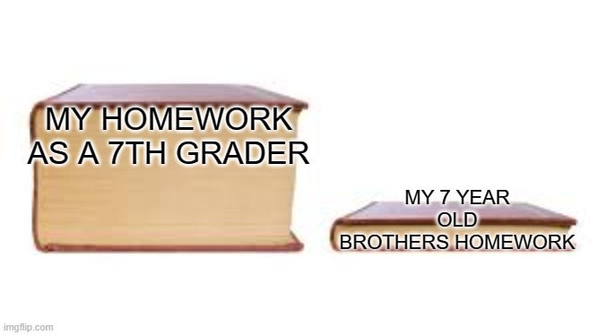 explain pls | MY HOMEWORK AS A 7TH GRADER; MY 7 YEAR OLD BROTHERS HOMEWORK | image tagged in big book small book | made w/ Imgflip meme maker