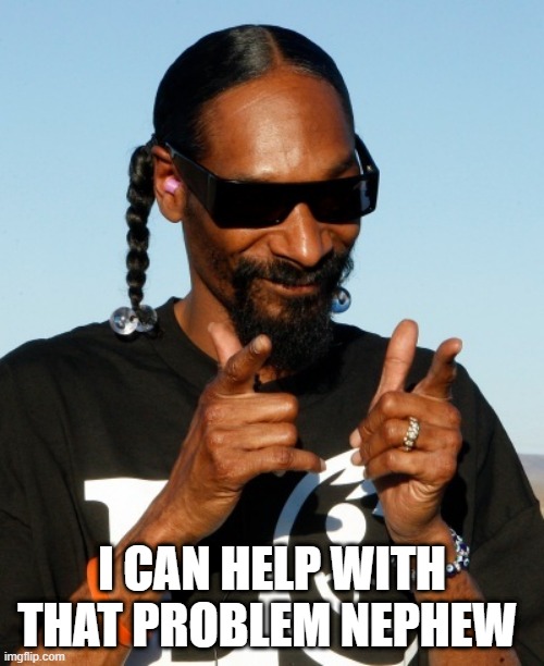 When you need a little help | I CAN HELP WITH THAT PROBLEM NEPHEW | image tagged in snoop dogg approves,snoop dogg,help | made w/ Imgflip meme maker