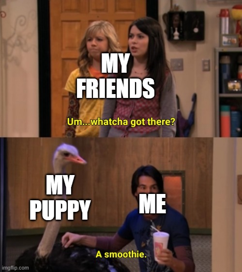 Whatcha Got There? | MY FRIENDS; MY PUPPY; ME | image tagged in whatcha got there | made w/ Imgflip meme maker