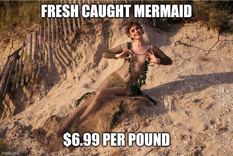 Fresh catch |  FRESH CAUGHT MERMAID; $6.99 PER POUND | image tagged in mermaid | made w/ Imgflip meme maker