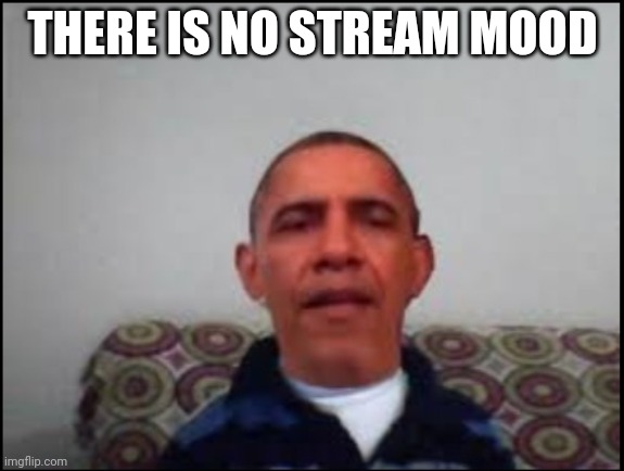 ... | THERE IS NO STREAM MOOD | image tagged in there is no meme | made w/ Imgflip meme maker