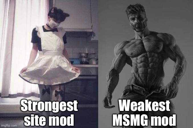 Strongest Fan VS Weakest Fan | Strongest site mod; Weakest MSMG mod | image tagged in strongest fan vs weakest fan | made w/ Imgflip meme maker