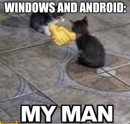 Cats shaking hands | WINDOWS AND ANDROID: | image tagged in cats shaking hands | made w/ Imgflip meme maker