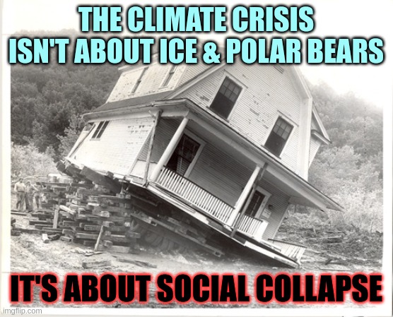 Climate change is about social collapse | THE CLIMATE CRISIS ISN'T ABOUT ICE & POLAR BEARS; IT'S ABOUT SOCIAL COLLAPSE | image tagged in house with collapsing foundations | made w/ Imgflip meme maker
